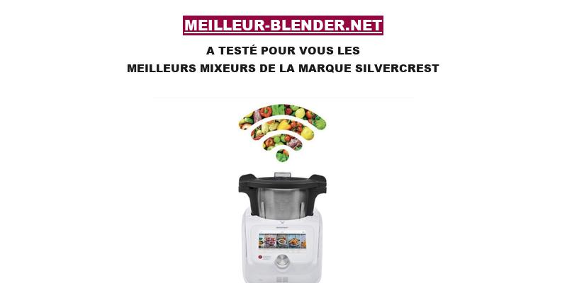 mixeur silvercrest
